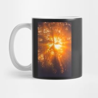 Sunbeams through tree in morning fog Mug